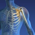 Shoulder Stability Exercise: Non-dominant Internal Rotators (VIDEO)